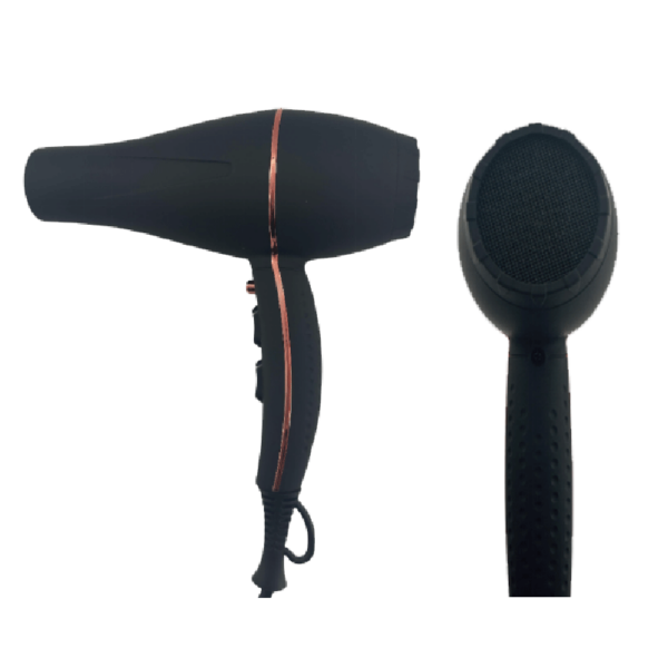 WHC Electric hair dryer