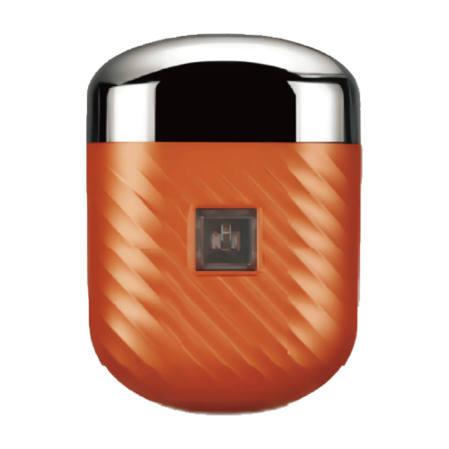 WS BG Rotary electric shaver